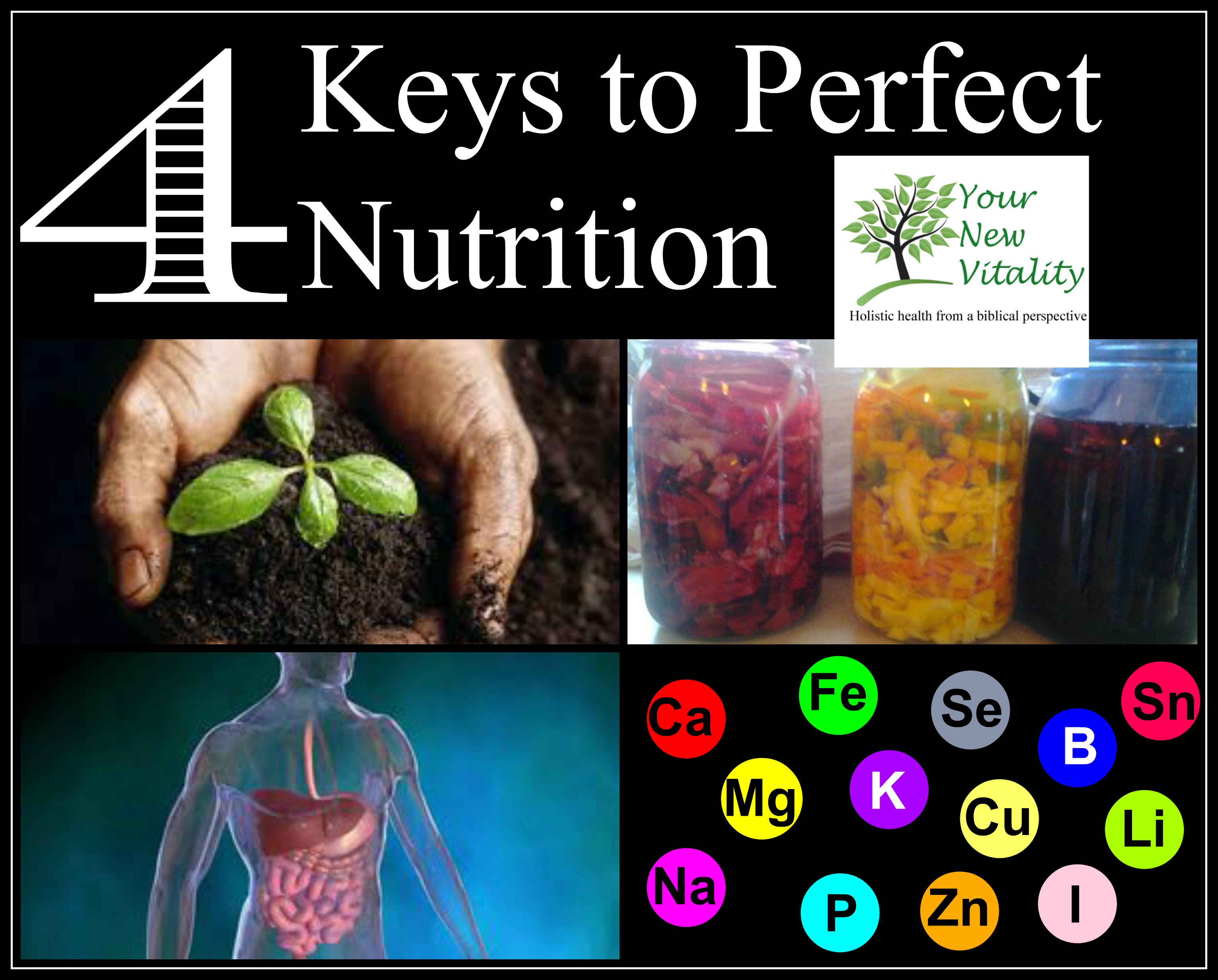 4 Keys to Perfect Nutrition1