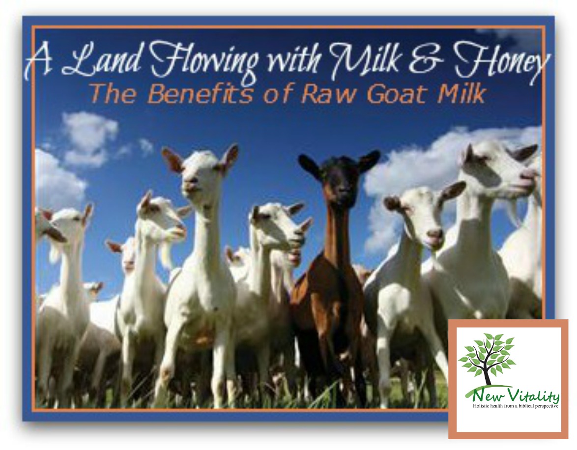 goat milk