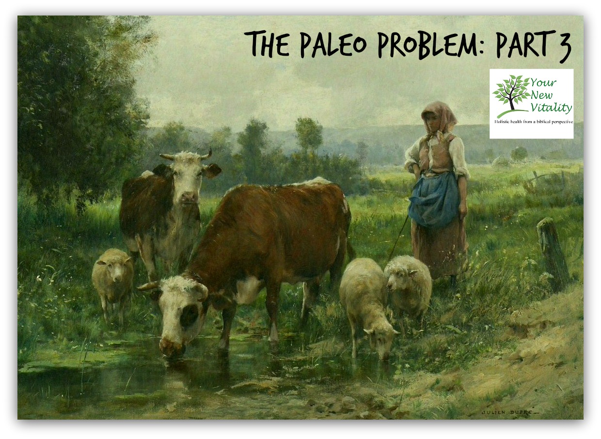 The Paleo Problem: Part 3