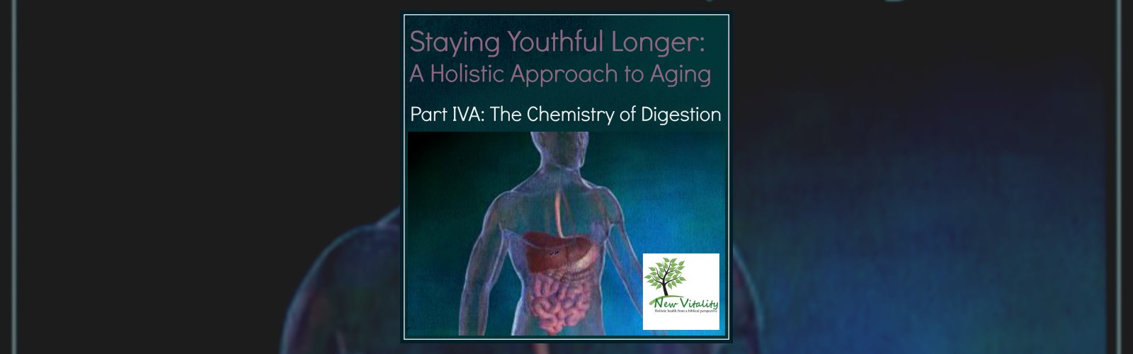 Staying Youthful Longer: A Holistic Approach to Aging
