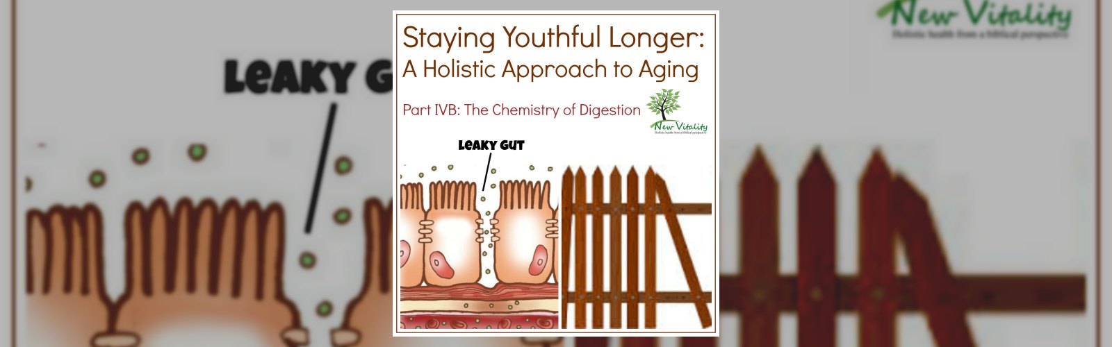 Staying Youthful Longer: A Holistic Approach to Aging