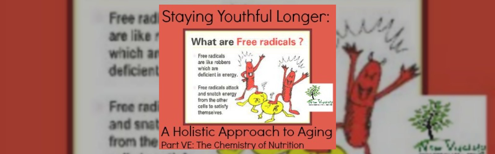 Staying Youthful Longer: A Holistic Approach to Aging