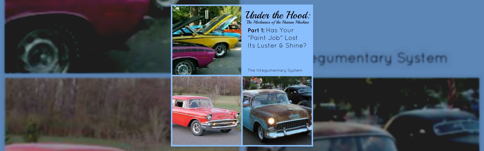 Under the Hood: The Mechanics of the Human Machine