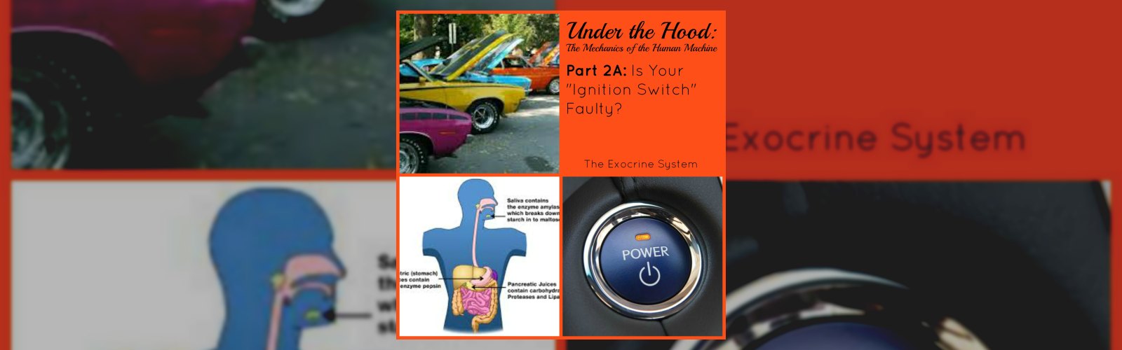 Under the Hood: The Mechanics of the Human Machine