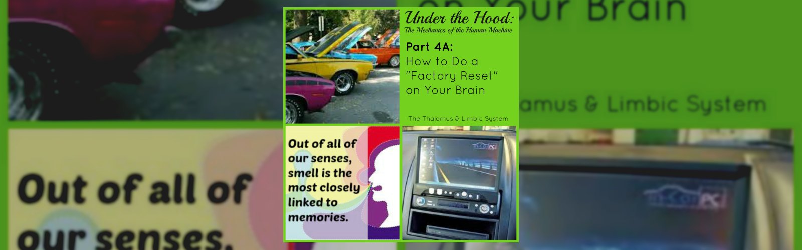 Under the Hood: The Mechanics of the Human Machine