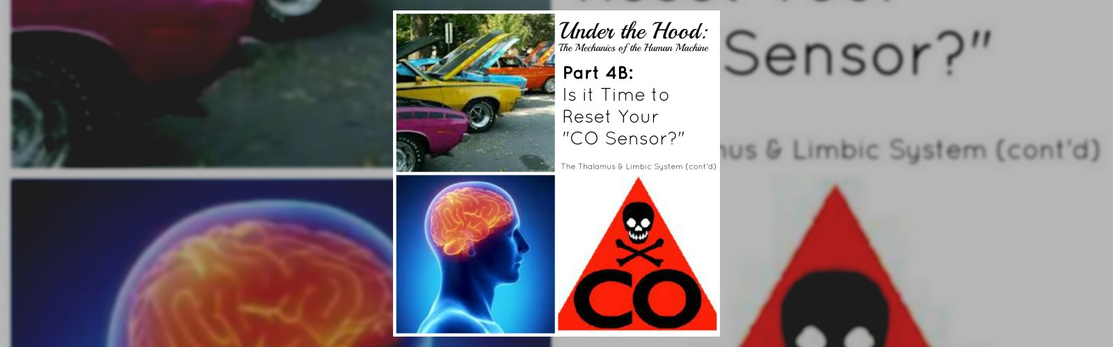 Under the Hood: The Mechanics of the Human Machine