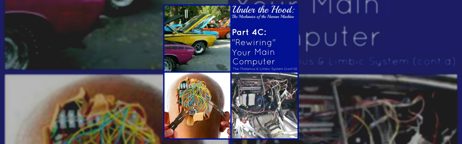 Under the Hood: The Mechanics of the Human Machine