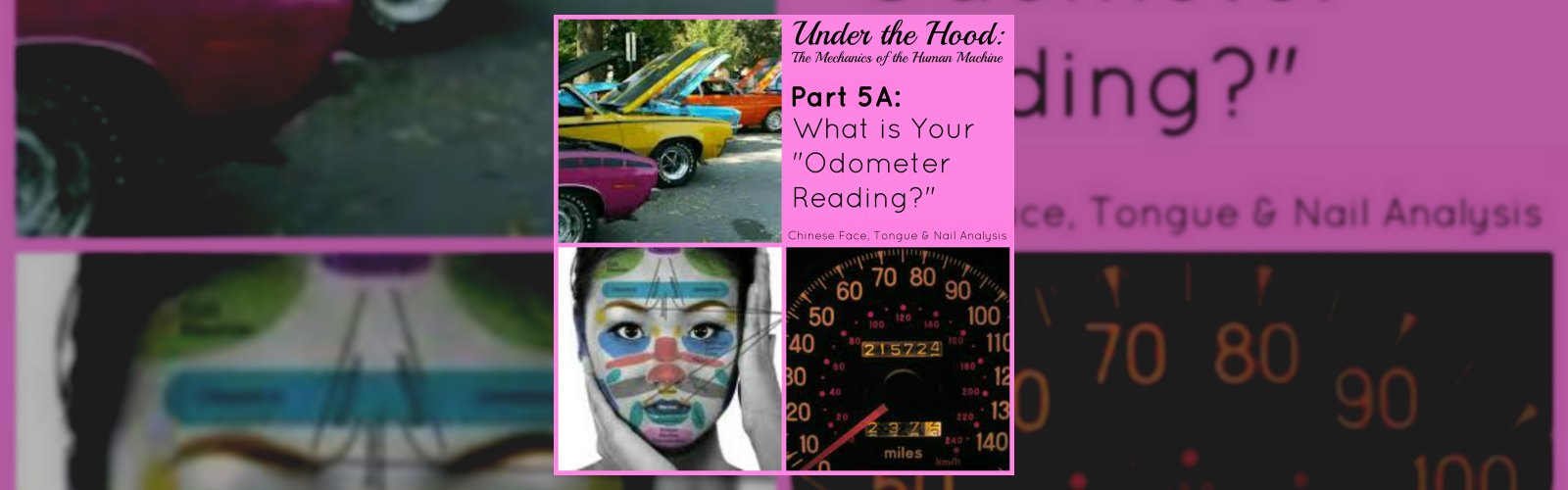 Under the Hood: The Mechanics of the Human Machine
