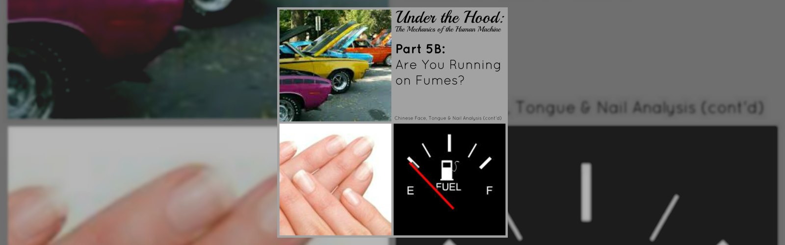 Under the Hood: The Mechanics of the Human Machine