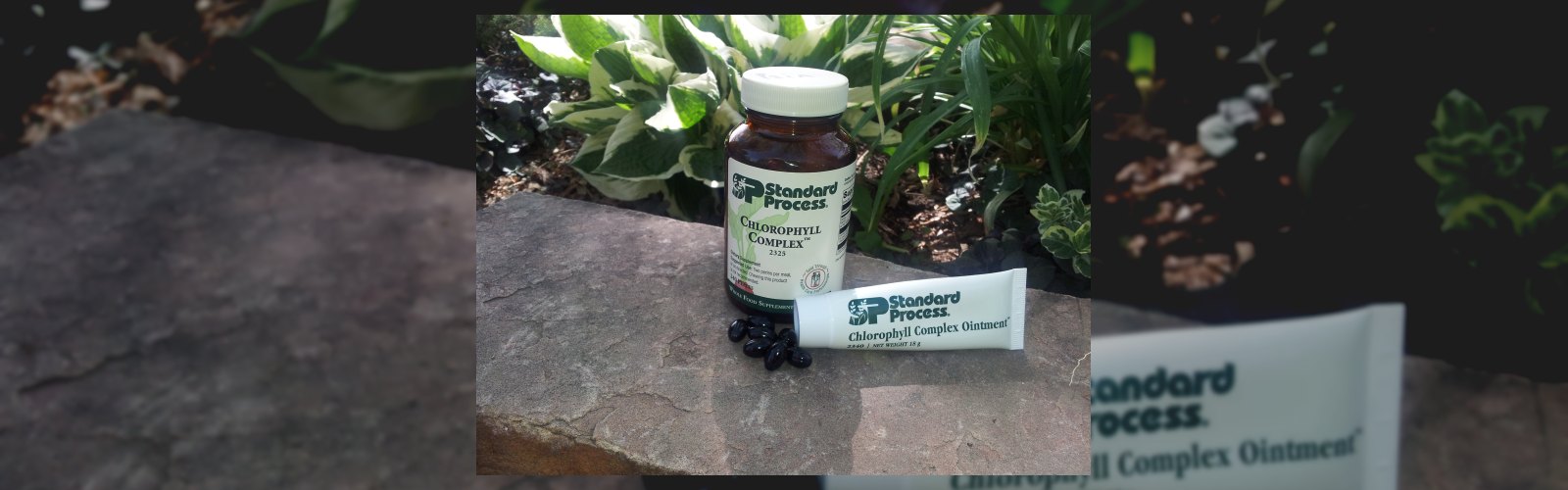 The Green Wonder:  Fat-Soluble Chlorophyll