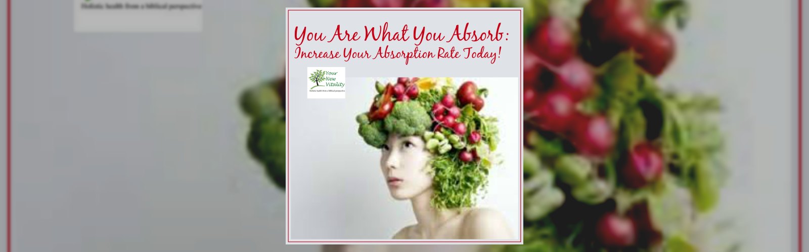 You Are What You Absorb: Increase Your Absorption Rate Today!
