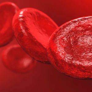 blood-cells