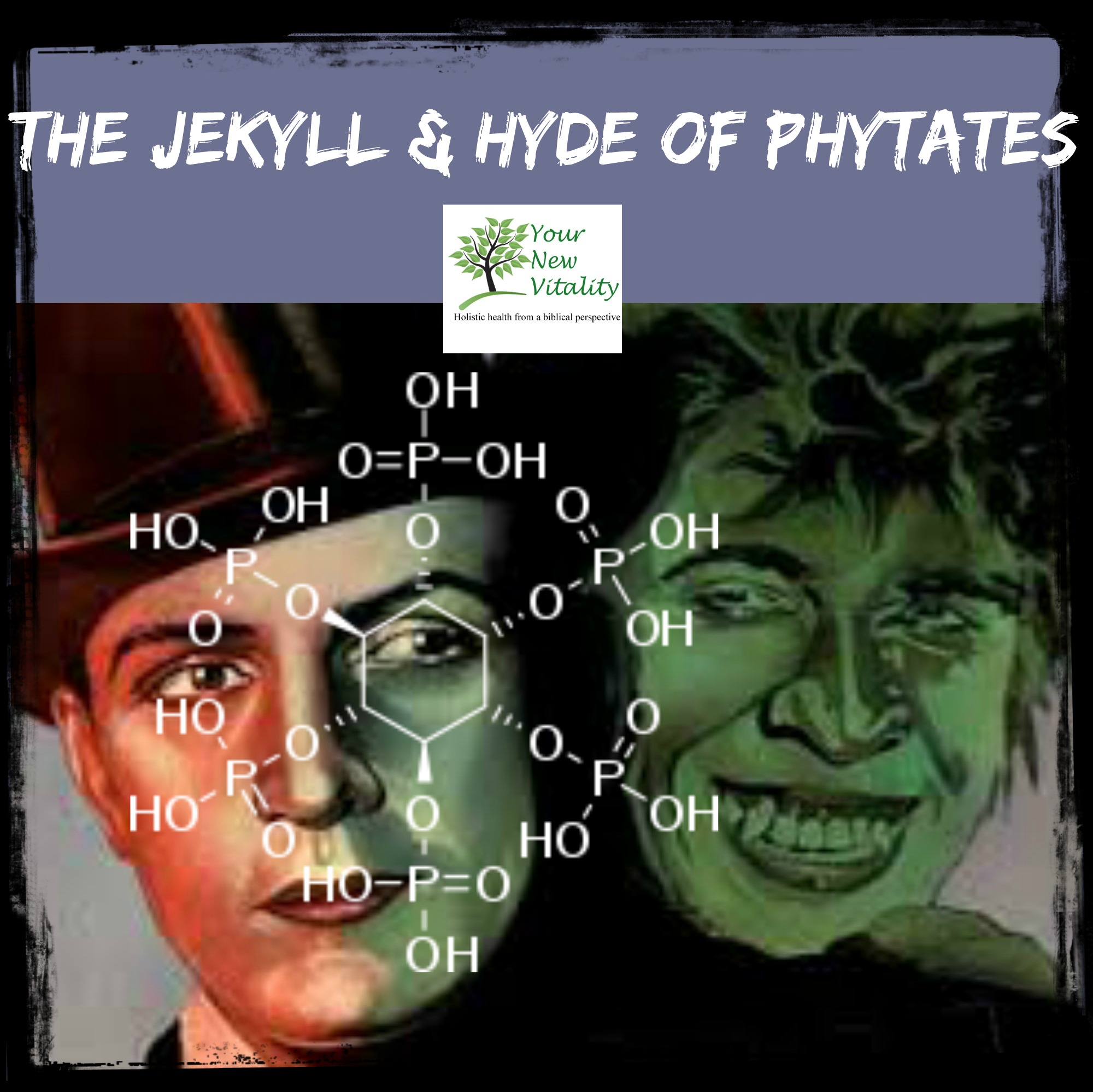 jekyll  hyde of phytates2