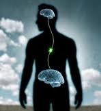 What is Your Gut Feeling?